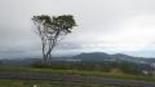 小樽周辺自然歩道