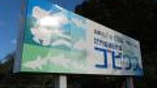 宍道湖の自然をのぞき見できる。