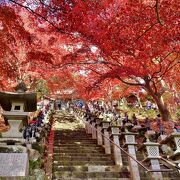 神奈川県内随一の紅葉の名所