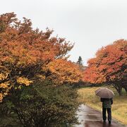 紅葉が美しい