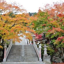 ほのかに紅葉に染まる石段の参道