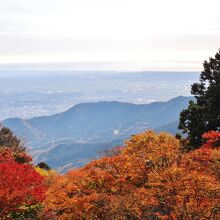 境内からみた相模湾。江の島も見えた