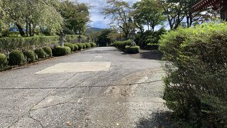 白い仏塔が緑の中に