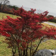 紅葉が美しい