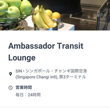 Ambassador Transit Lounge 