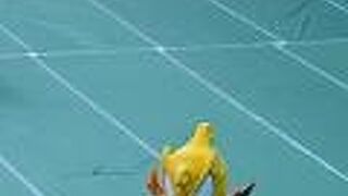 アウェイベンチの様子が見易い席で観戦