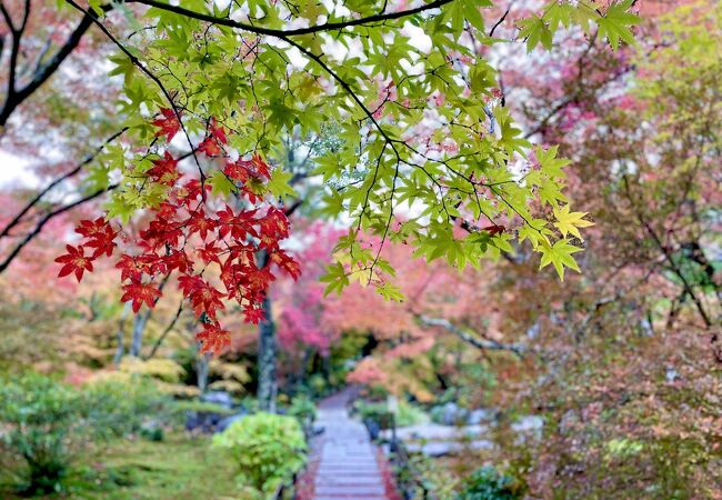 本堂から見る紅葉が美しい