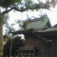 それほど大きくはありませんが年季の入った本堂です