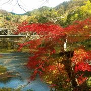 橋付近の紅葉は見事