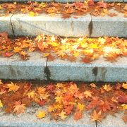 紅葉が美しい天空の神社