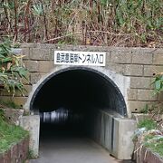 トンネルの先にある海岸です