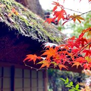 看板がないと通り過ぎてしまう