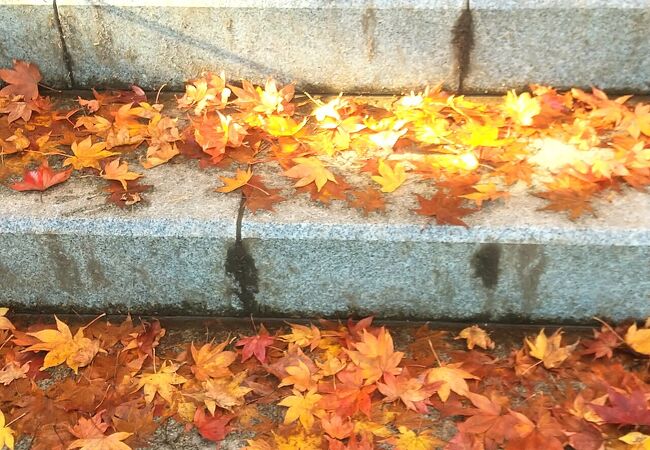 紅葉が美しい天空の神社