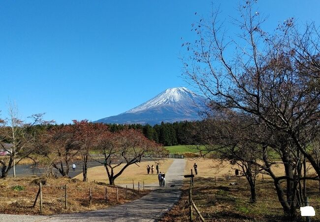 正面に富士山が見える展望台