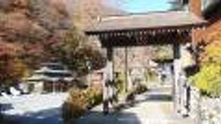 茅葺き屋根に歴史を感じる貴重な文化財