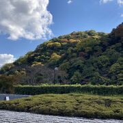 福田美術館とコラボ