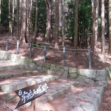 ここを上っていきます