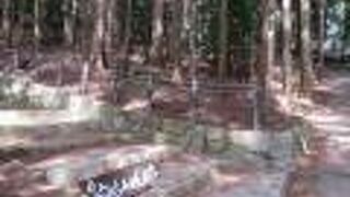 近江神宮の裏山です