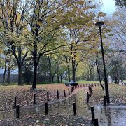 大久保地区の戸山公園へ行きました。