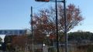 県さいたま水上公園