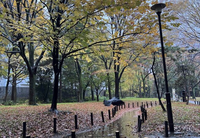 大久保地区の戸山公園へ行きました。