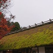 屋根と紅葉のコラボが素敵でした