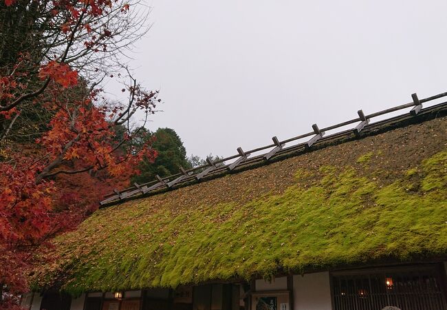 屋根と紅葉のコラボが素敵でした