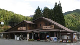 道の駅 うすずみ桜の里ねお