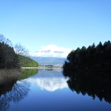 贅沢な景色です。