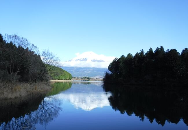 壮大な富士山に感動！