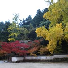 紅葉谷公園