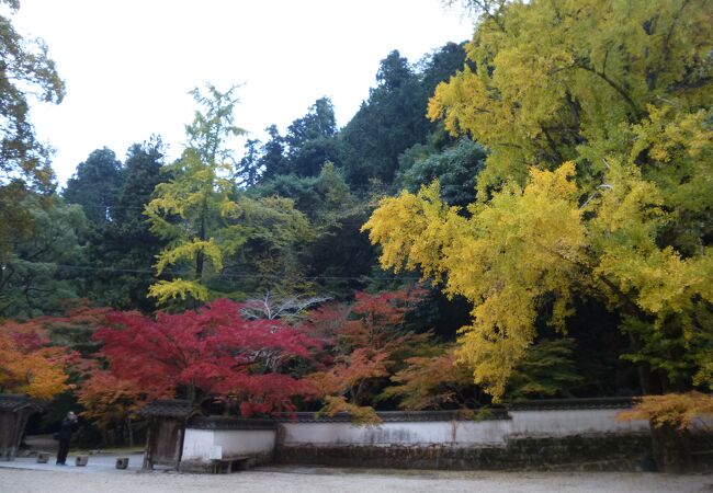 紅葉谷公園