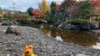 荷物預かりしてもらえます