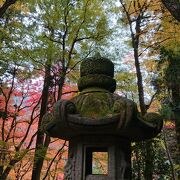 参道の紅葉が綺麗でした