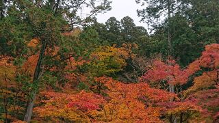 紅葉がピークで、大変多くの観光客が見受けられました