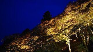 11月下旬のトワイライトタイムに訪問