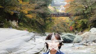 かずら橋の紅葉はきれいですが、橋の上は大混雑していました。