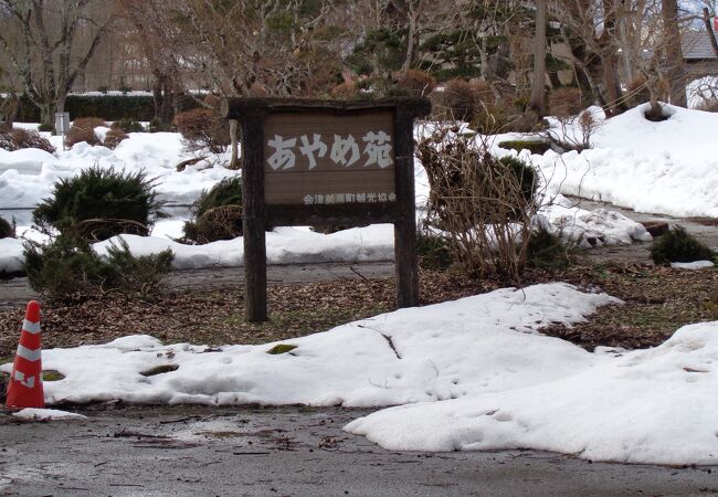 会津美里町あやめ苑(伊佐須美神社外苑)