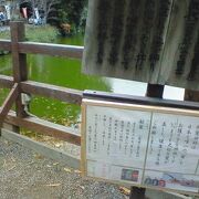 嵐山の森の中で髪の美しさと健康を祈願できます