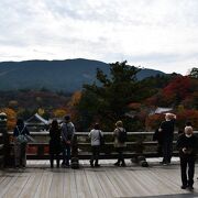 紅葉が一望の舞台