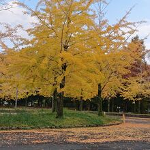 寝屋川公園