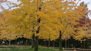 寝屋川公園