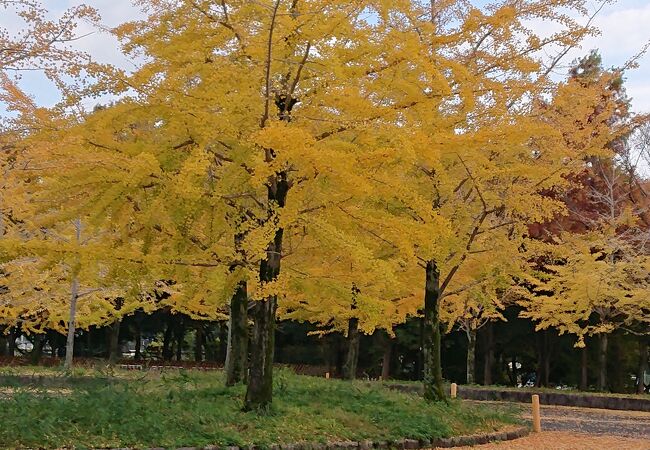 寝屋川公園