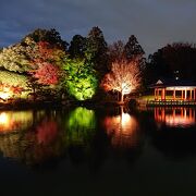 紅葉のライトアップの大仙公園日本庭園