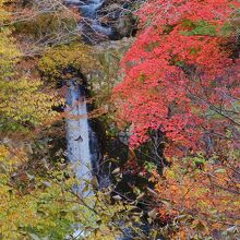 小泉の滝