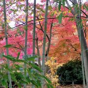 紅葉の季節は混雑、共通券が便利