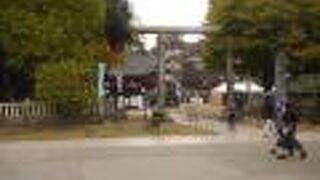 三社祭はここから