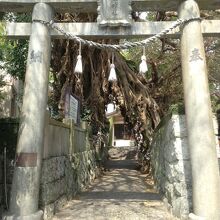 奈良尾神社