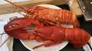 シートレビアン