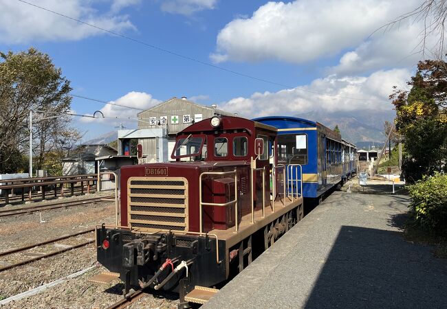 トロッコ列車「ゆうすげ号」